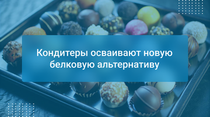 Кондитеры осваивают новую белковую альтернативу