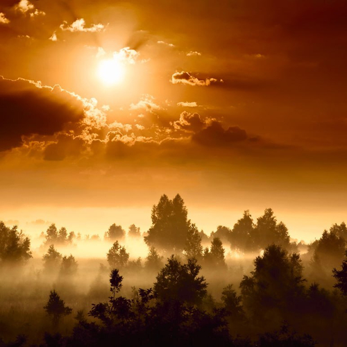 Бесшовные фотообои