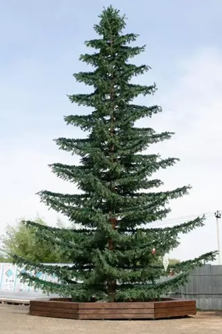 Уличная елка Лесная зеленая 18 м., ствольная, Литая, Green Trees (GT18LESPE)