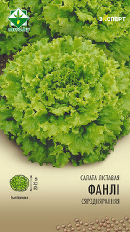 Салат листовой "Фанли" 20шт, Нидерланды.