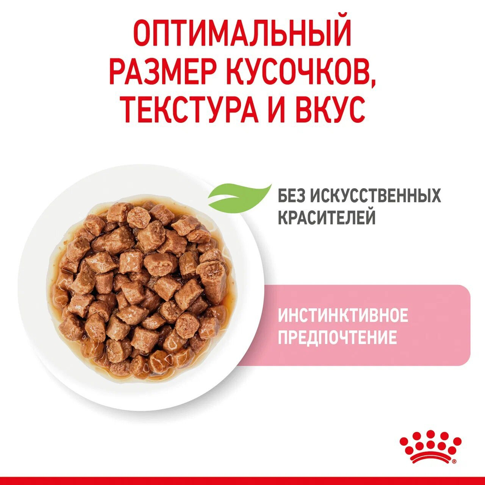 ROYAL CANIN Kitten Корм влажный для котят в возрасте до 12 месяцев (кусочки в соусе), 85 г