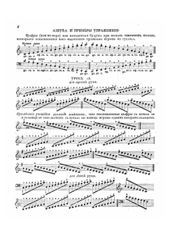 Новейшая полная школа или Самоучитель для гуслей, по которому легчайшим способом без помощи учителя, самому собою можно научиться правильно и верно играть на гуслях | Кушенов-Дмитревский Федор