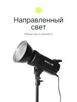 Комплект постоянного света Raylab RL-100 Kit 5600К светодиодный