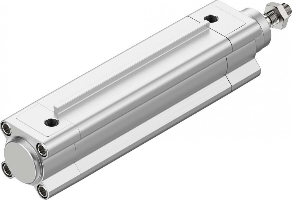 DSBF-C-50-100-PPSA-N3-R Стандартный цилиндр