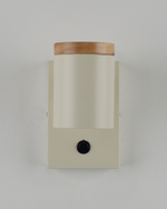 Светильник настенный Moderli V11292-1W Asheswood