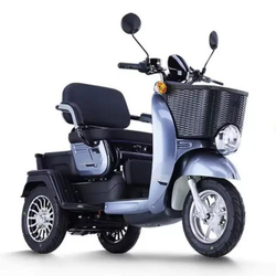 Электрический трицикл pro v613