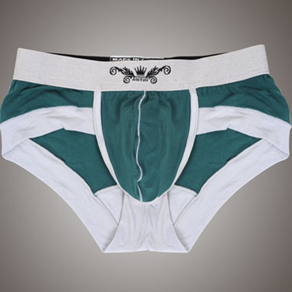 Мужские трусы брифы Asitoo Silveredge Brief Green