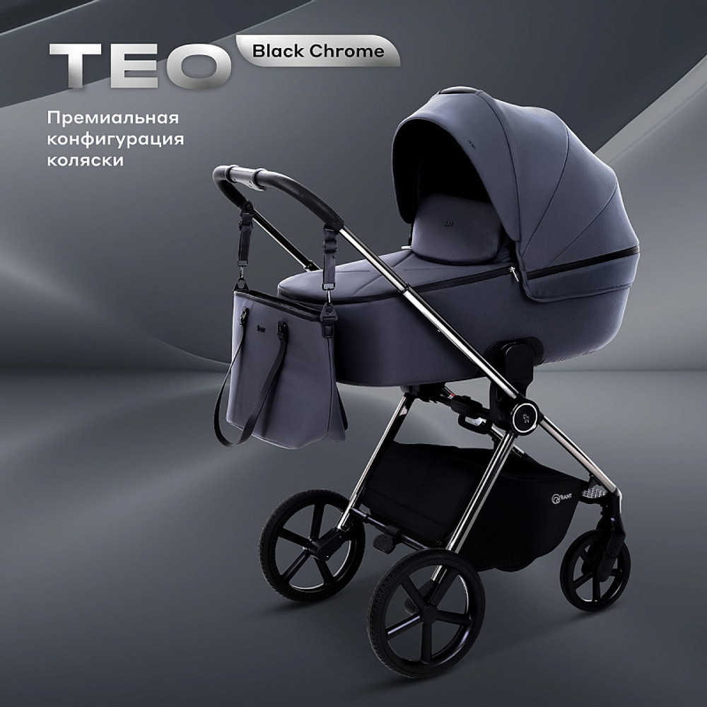 Детская коляска Rant Teo Black Chrome 3 в 1 Graphite