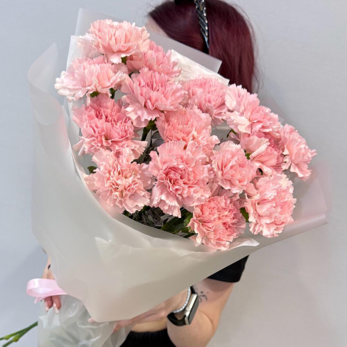 Моно букет диантусы (гвоздика) 15шт