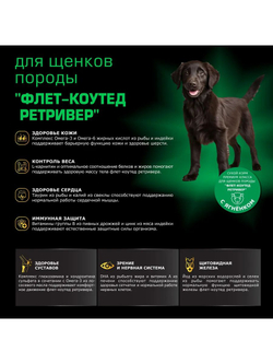 Корм сухой для щенков породы Флет-коутед ретривер, премиум полнорационный комплекс, с ягненком, 12 кг, QUATTRO