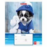 Тетрадь 24 л. BRAUBERG линия, обложка картон, "ЗАБАВНЫЕ ЩЕНКИ", 403585