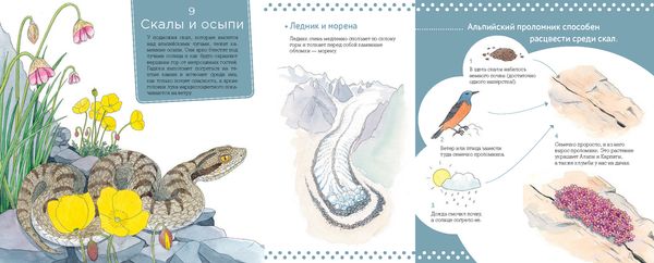 Живая природа. В горах