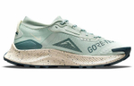 Кроссовки Nike Pegasus Trail 3 Gtx (Женская размерная сетка)