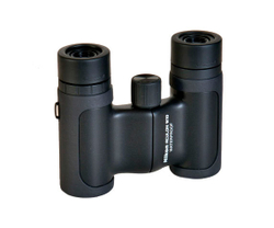 Бинокль Nikon Aculon W10 10x21 черный