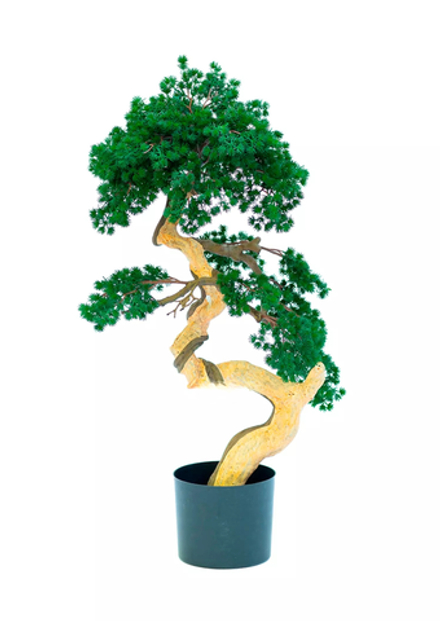 Бонсай игольчатый в. 92 см/ ш. 52 см (белый ствол)