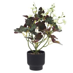 GAEM Цветочная композиция, L9 W9 H28 см