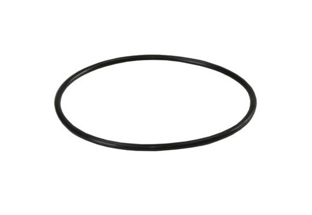 Кольцо уплотнительное (ORING-SL) для SL20 корпусов Naturewater