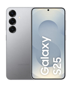 Samsung Galaxy S25 Silver Shadow