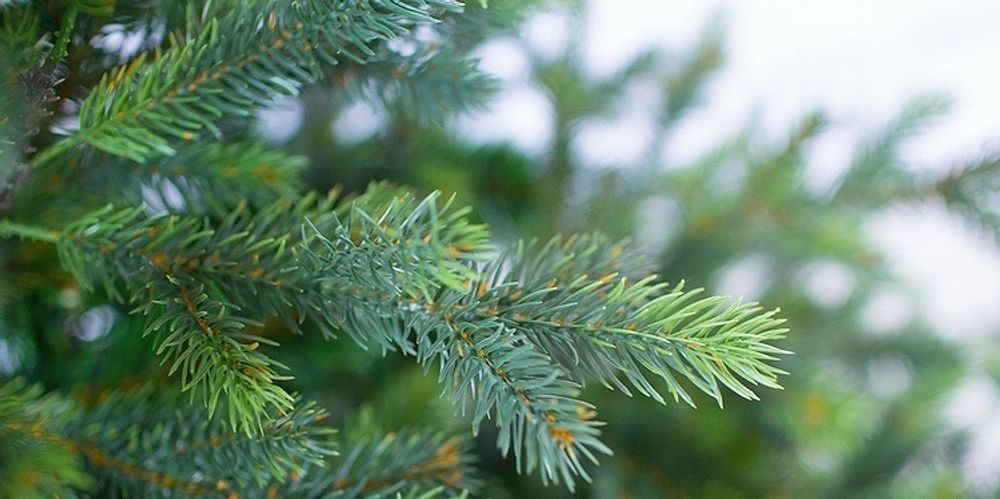 "ГРАЦИО ПРЕМИУМ" Светящаяся 25