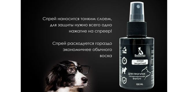 Товар дня!