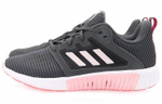 Кроссовки Adidas Climacool 2.0 (Женская размерная сетка)