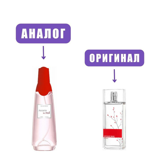 ASCANIA IN RED edP 50ml lady