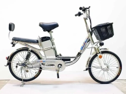 Электровелосипед Green Camel Транк-2 (R20 350W 48V 10Ah) Алюм 2-х подвес