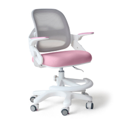 Стул для школьника Ergokids Y-308
