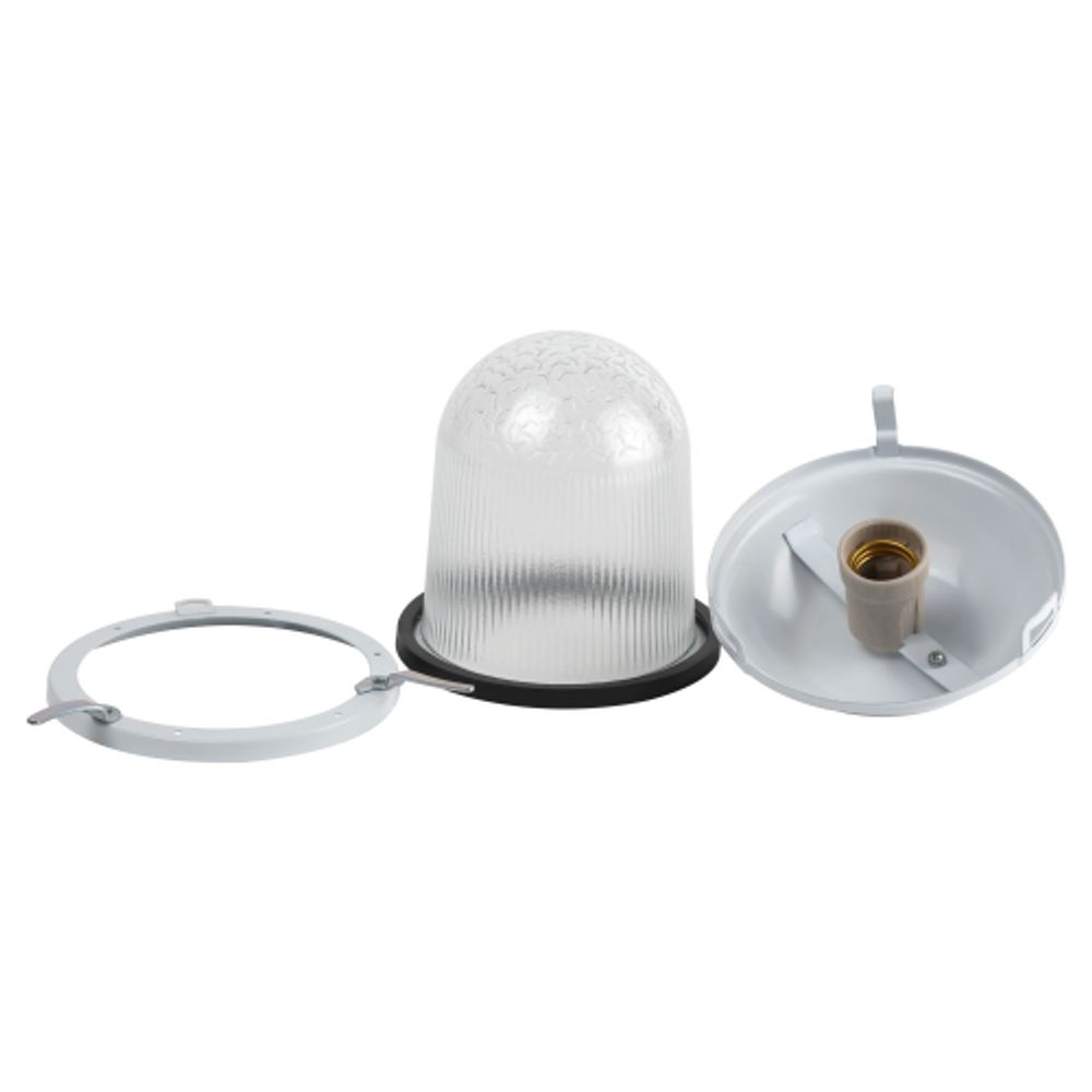 Светильник ЭРА НСП 02-100-001 без решетки Желудь сталь / стекло IP54 E27 max 100Вт 262х172 белый | Светильники НСП (Желуди)