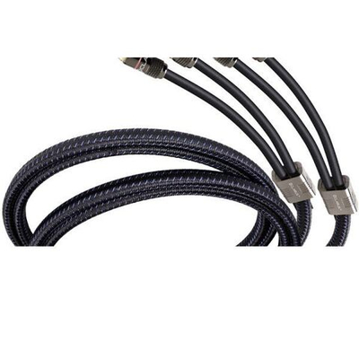 Кабель акустический Clarus Aqua CASP-B-060D 6 ft. 1.8m (2x2 Banana)