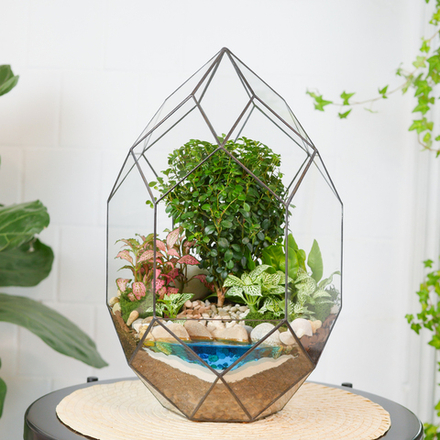 Готовый флорариум бонсай Мирсина Цефей с озером