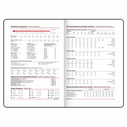 Ежедневник недатированный А5 BRAUBERG "Magnetic X" (113278) 9