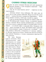 Святая  блаженная Ксения Петербургская