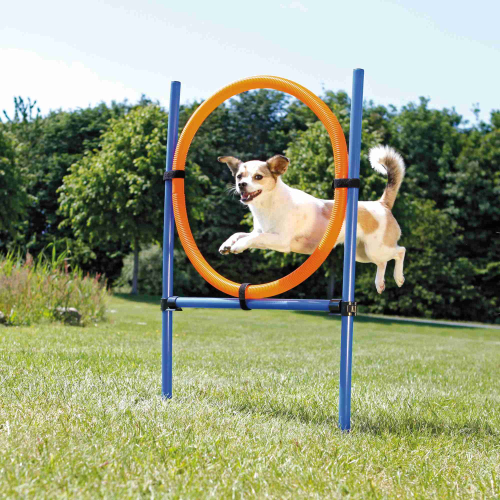 Набор для дрессировки Trixie Tire Jump, для аджилити собак, пластик