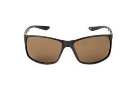 Очки солнцезащитные INVU A2913H с чехлом