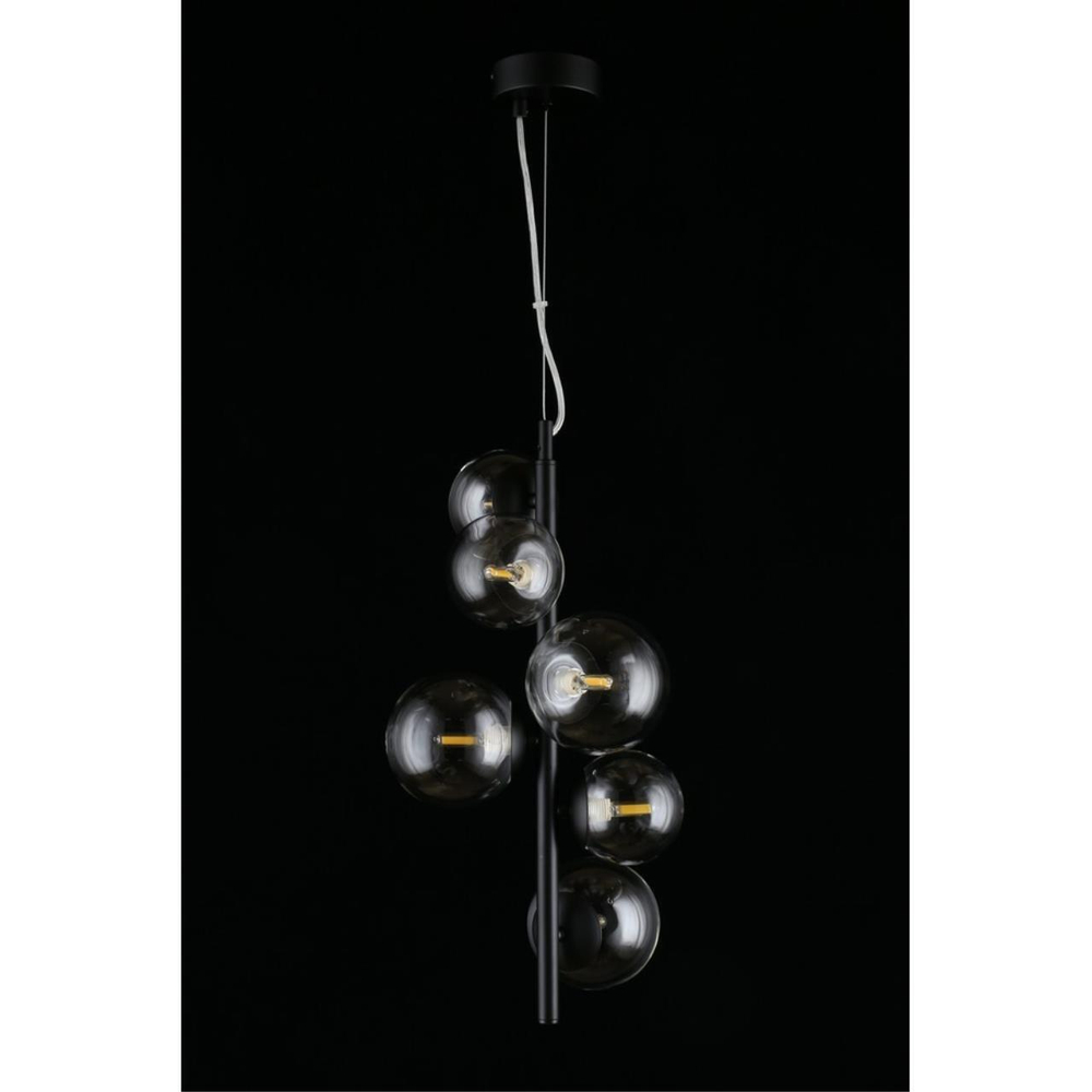 Подвесной светильник Aployt Feliche APL.334.06.06