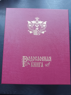 Большая семейная родословная книга "Столетие", натуральная кожа