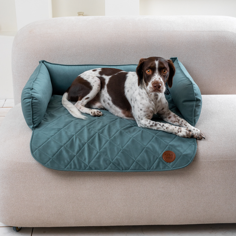 Диванный лежак из микровелюра, аквамарин 70х50 Rachel WOW