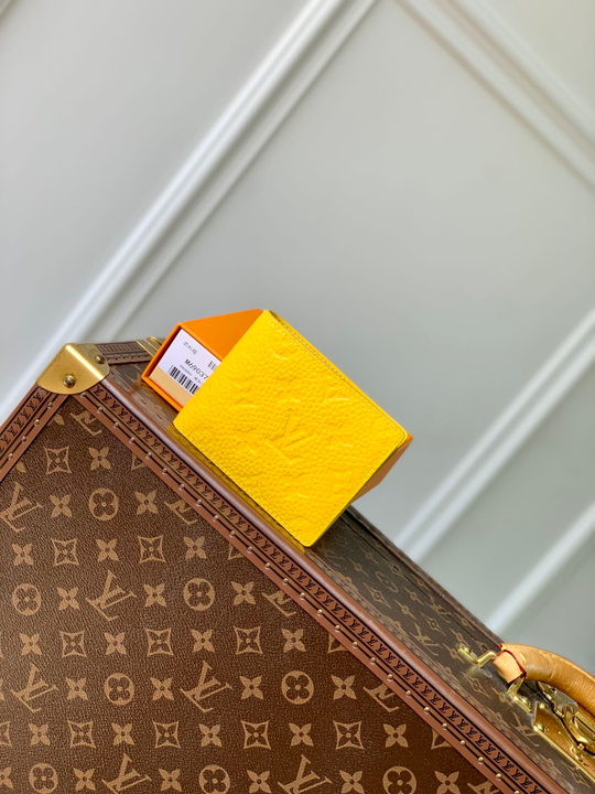 Louis Vuitton Multiple Wallet