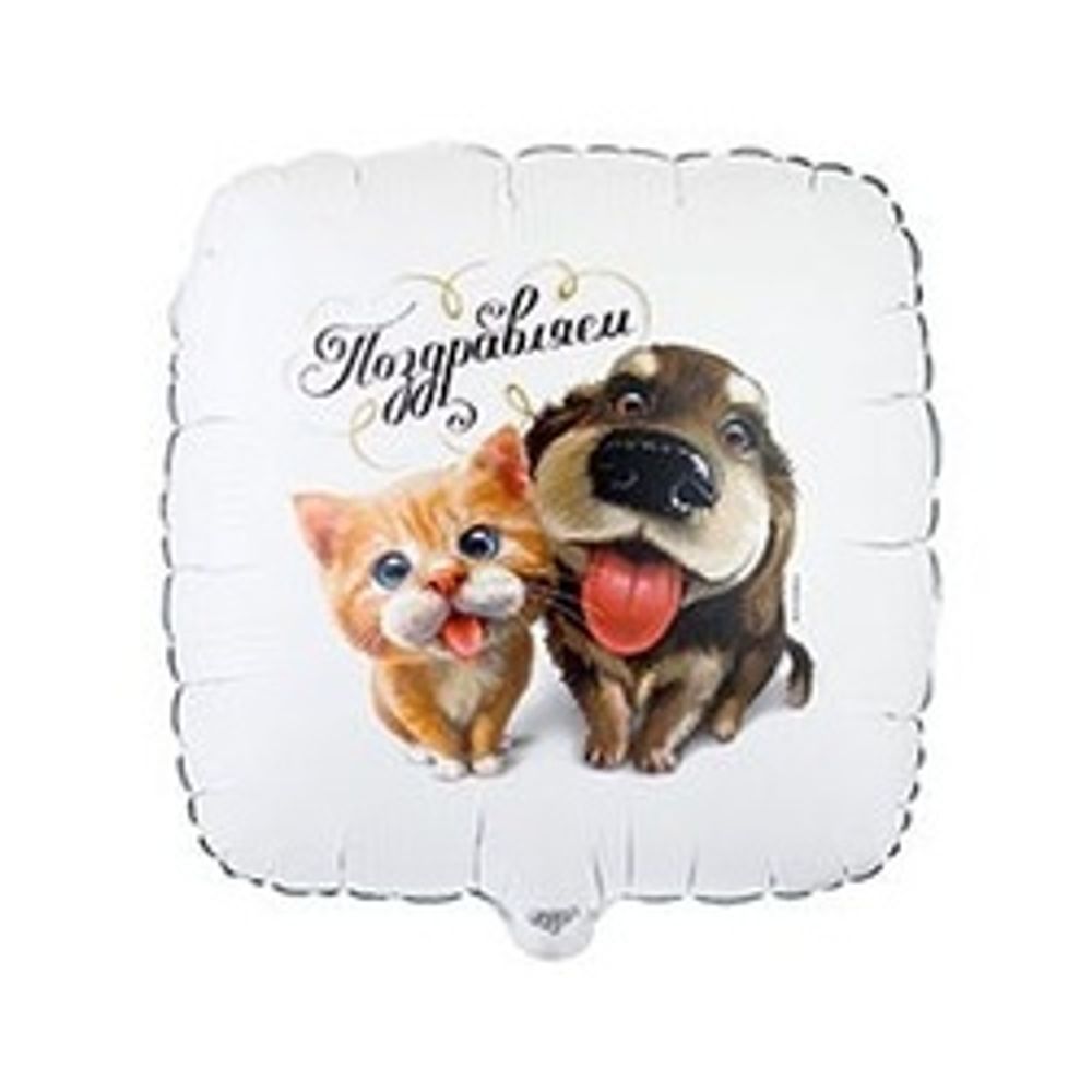 Шар (18"/46 см) Квадрат, РУС ПОЗДРАВЛЯЕМ Питомцы