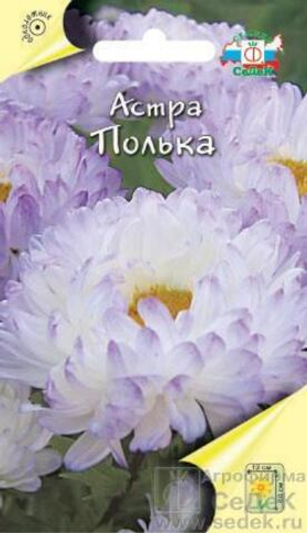 Астра Полька пионовидная 0,25 г Седек