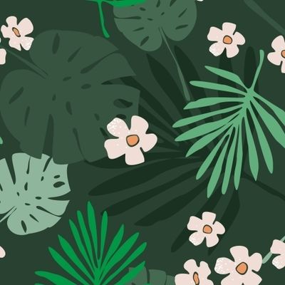 Ночные тропики