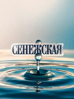 Вода негазированная Сенежская природная, 5 л