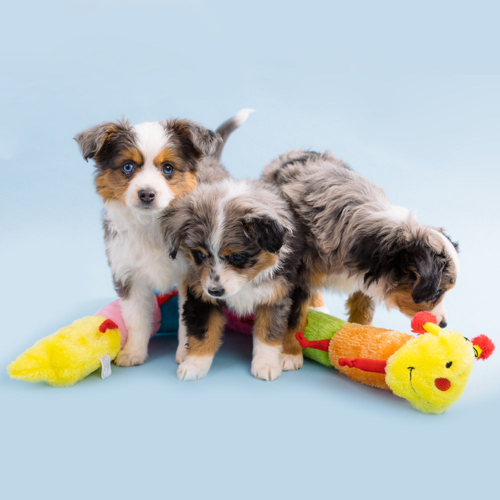 Игрушка Гусеница Blasters 76 см ZippyPaws