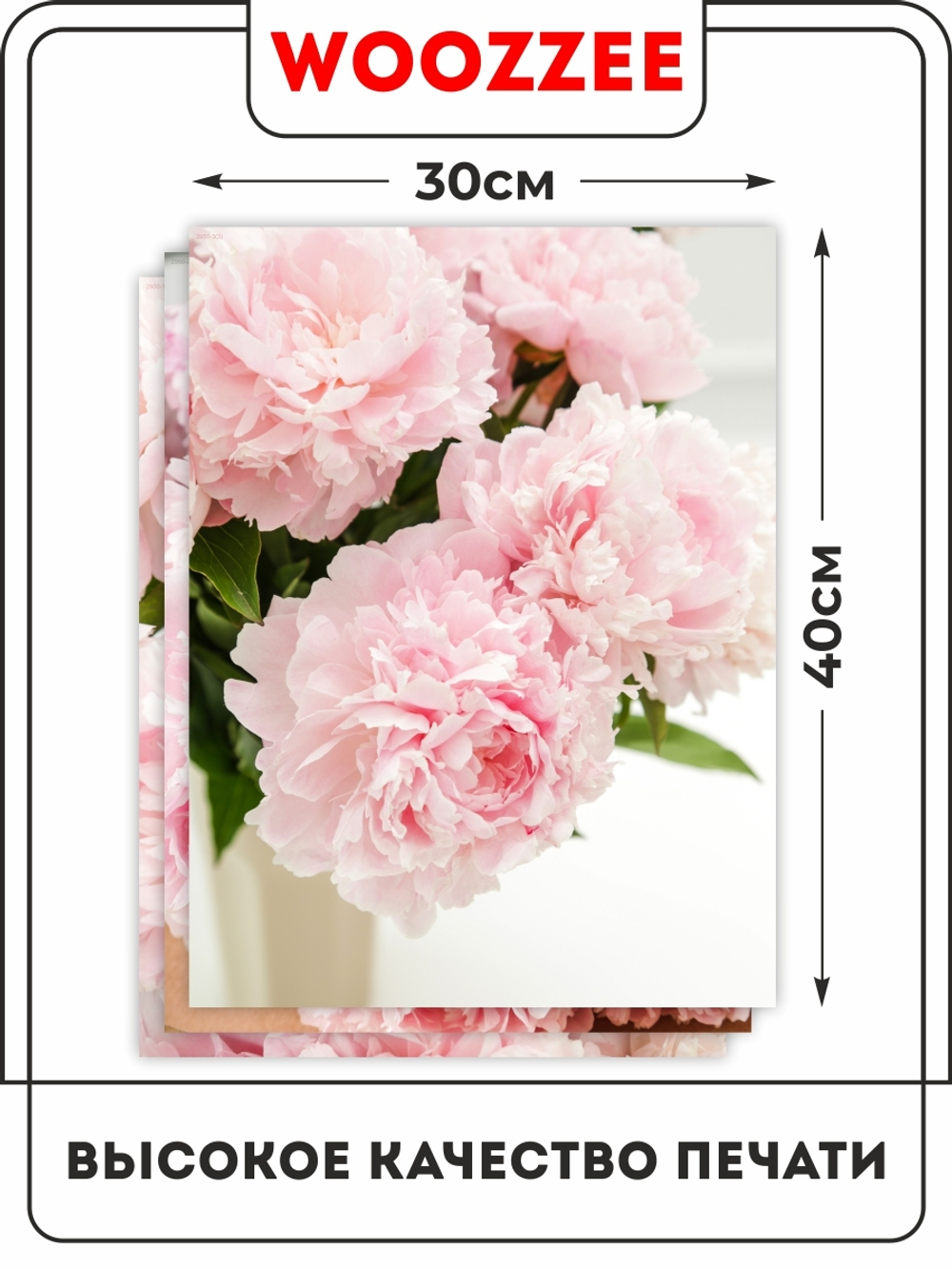 Набор постеров "Раскрытость пиона" 3шт.