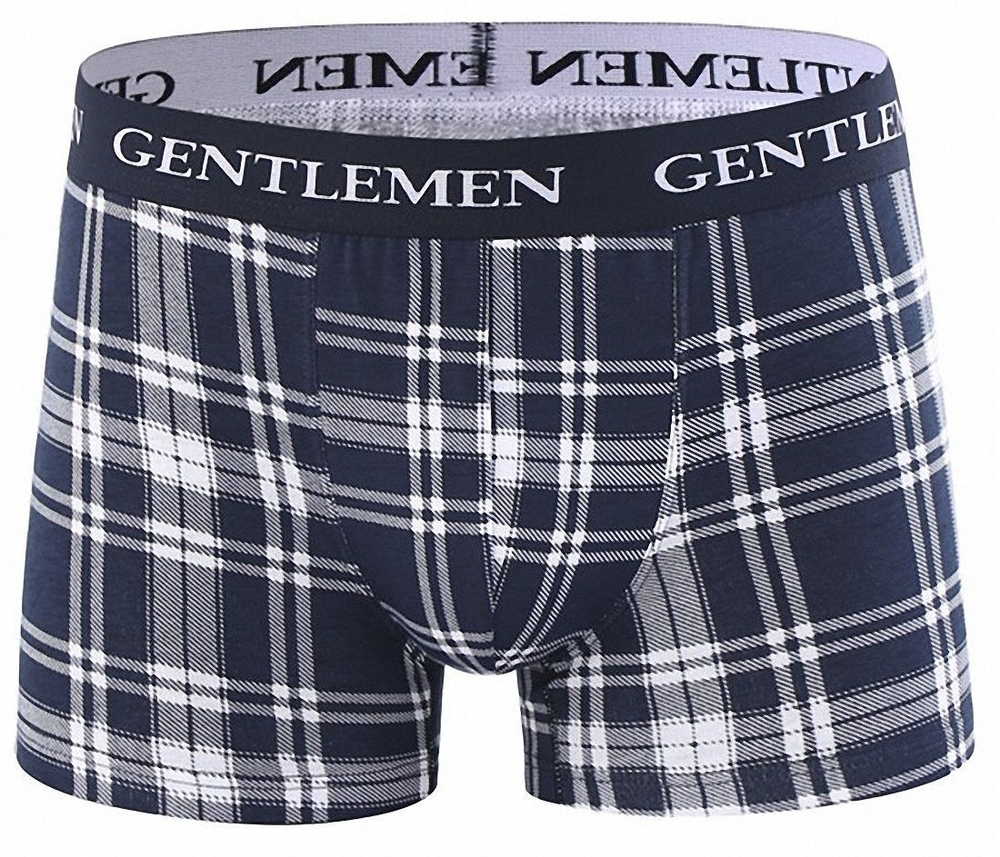 Клетчатые боксеры с широкой брендированной резинкой (Размер: XXL) (Цвет: темно-синий)