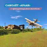 Деревянный конструктор Самолёт Арлан (Lemmo)