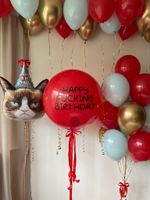 Воздушные шары Унылый кот для него №8508