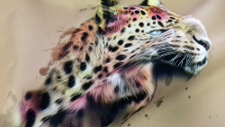 Микровелюр Xpoint (Икспоинт) 0034.01 Леопард