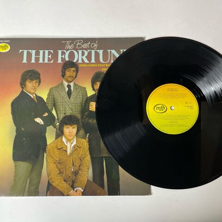 Винтажная виниловая пластинка LP The Fortunes The Best Of (Holland 1982) Seasons In The Sun